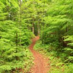 11424236175_96ce7224fa_k